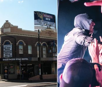 THE BALD FACED STAG // EXCLUSIVE—Former Employee Reveals Extent Of Fraud