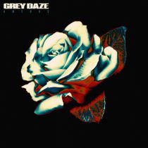 grey daze hysteria