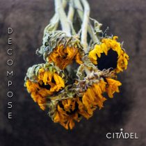 citadel hysteria